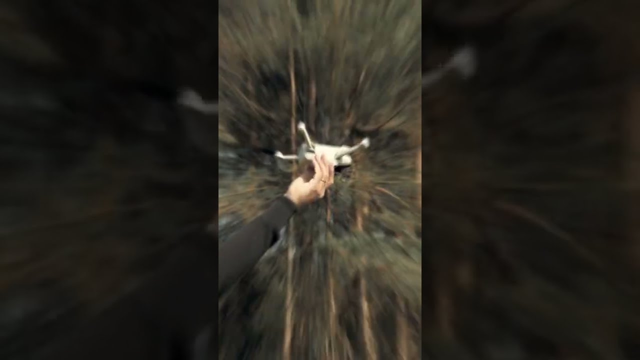 The DJI MINI 3 PRO #shorts